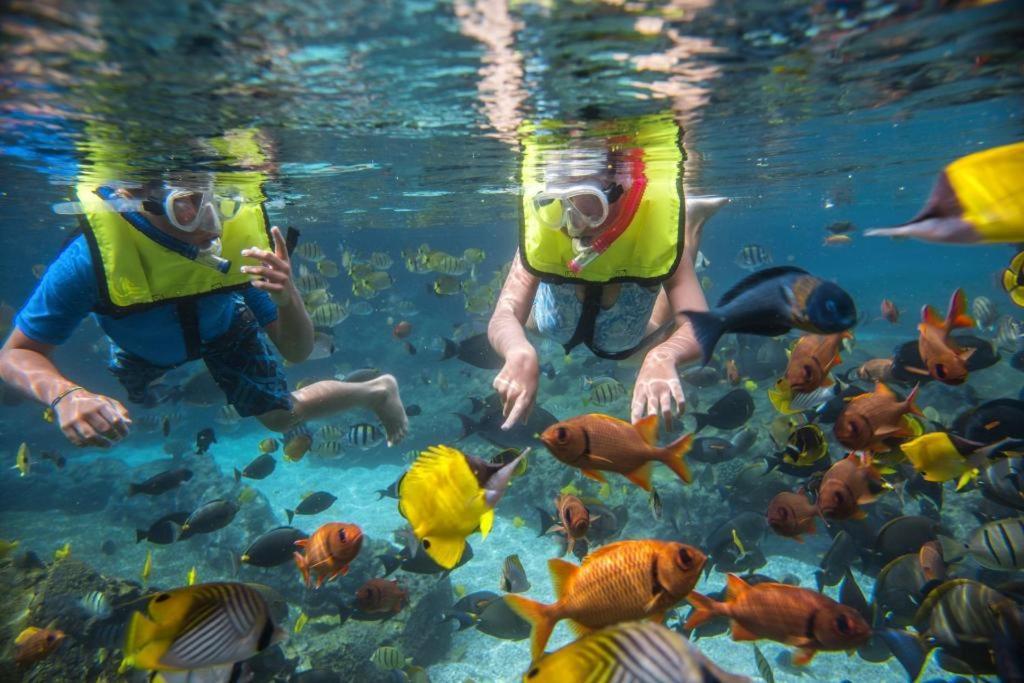 アウラニ ア ディズニー リゾートアンド スパ カポレイ エクステリア 写真